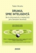 Drumul spre inteligenta informatica intelectica