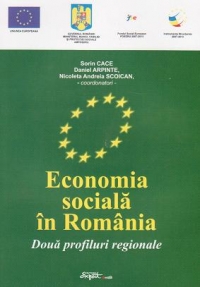 Economia sociala in Romania. Doua profiluri regionale