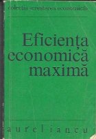 Eficienta economica maxima Metode modelare