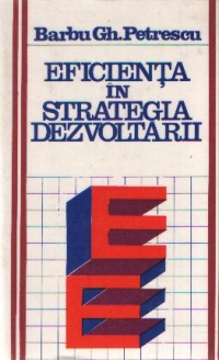 Eficienta in strategia dezvoltarii