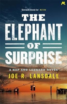 Elephant of Surprise