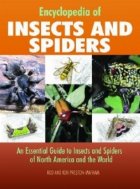 ENCYCLOPEDIA OF INSECTS AND SPIDERS