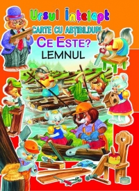 Ce este? Lemnul (carte cu abtibilduri)