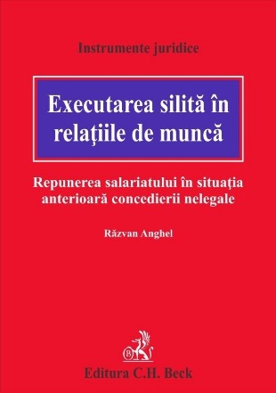 Executarea silita in relatiile de munca. Repunerea salariatului in situatia anterioara concedierii nelegale