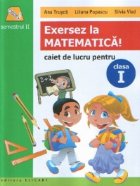 Exersez MATEMATICA Caiet lucru pentru