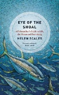 Eye of the Shoal