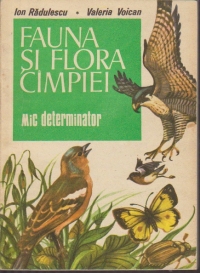 Fauna si flora cimpiei - Mic determinator