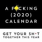 F*cking 2020 Calendar