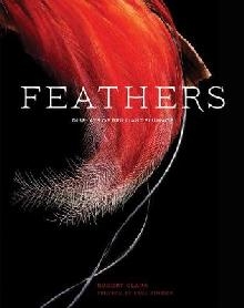 Feathers