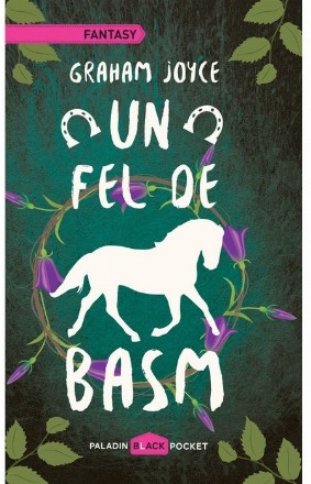 Un fel de basm