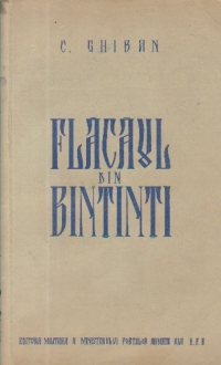 Flacaul din Bintinti