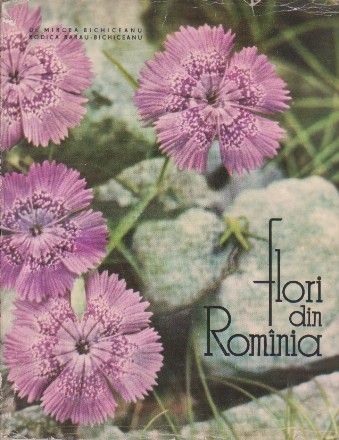 Flori din Rominia