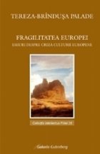 Fragilitatea Europei Eseu despre criza