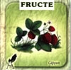 Fructe (pliant cartonat)