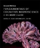 Fundamentals Cognitive Neuroscience