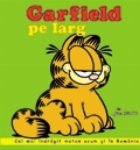 Garfield larg