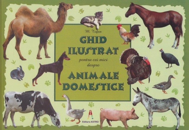 Ghid ilustrat pentru cei mici despre animale domestice