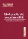 Ghid practic de executare silita - explicatii, cereri, formulare