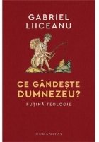 gândeşte Dumnezeu puţină teologie