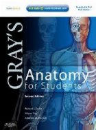 Gray Anatomy For Students