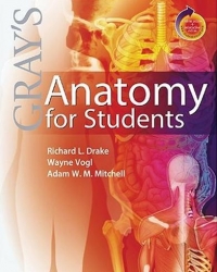 Gray S Anatomy for Students (Paperback)