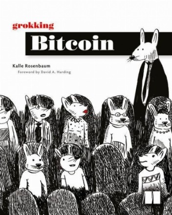 Grokking Bitcoin