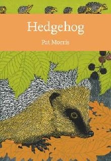 Hedgehog