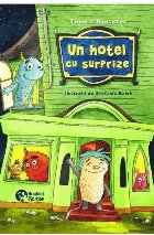 hotel surprize