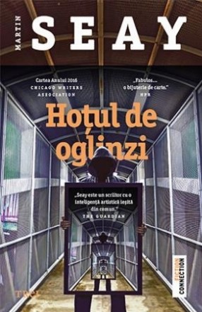 Hoțul de oglinzi