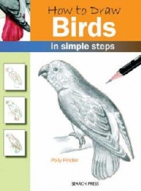 How To Draw Birds