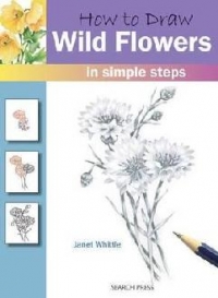 How To Draw Wild Flowers