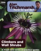 How Garden Climbers and Wall