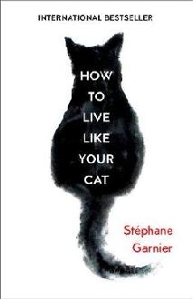 How to Live Like Your Cat