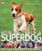 HOW TO TRAIN A SUPERDOG