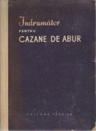 Indrumator pentru cazane abur