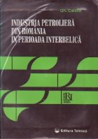 Industria petroliera din Romania in perioada interbelica - Confruntari si optiuni in cercurile de specialisti