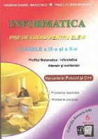 Informatica - Fise de lucru pentru elevi - clasele a IX-a si a X-a - Profilul Matematica-Informatica - Intensi