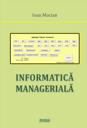 Informatica manageriala