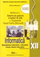 Informatica XII modulul 2 SGBD