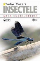 INSECTELE MICA ENCICLOPEDIE