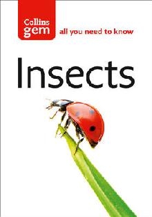 Insects