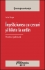 Inselaciunea cu cecuri si bilete la ordin - Practica judiciara