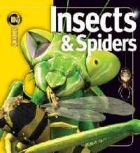 INSIDERS - INSECTS AND SPIDERS