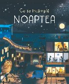 intampla noaptea