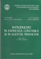 Introducere expertiza contabila auditul financiar