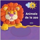 Invat sa modelez - Animale de la zoo