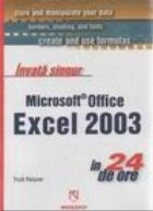 Invata singur Microsoft Office Excel