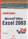 Invata singur Microsoft Office Excel 2003