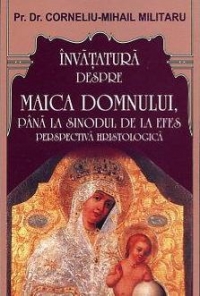 INVATATURA DESPRE MAICA DOMNULUI PANA LA SINODUL DE LA EFES:  PERSPECTIVA HRISTOLOGICA