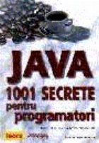 Java - 1001 secrete pentru programatori